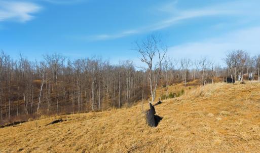 Photo #12 of 127 Courtney Springs Drive, Lynchburg, VA 0.2 acres