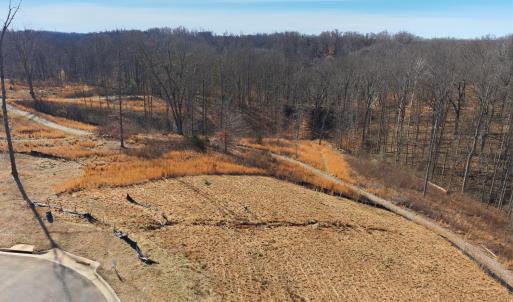 Photo #18 of 127 Courtney Springs Drive, Lynchburg, VA 0.2 acres