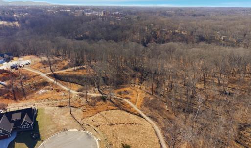 Photo #27 of 127 Courtney Springs Drive, Lynchburg, VA 0.2 acres