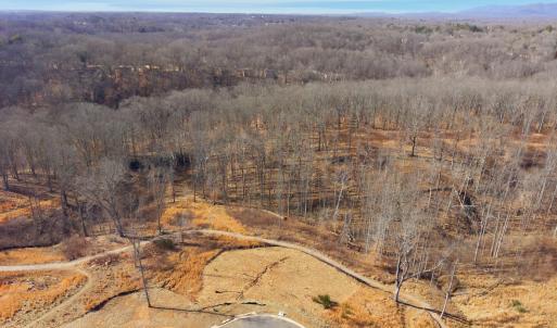 Photo #26 of 127 Courtney Springs Drive, Lynchburg, VA 0.2 acres