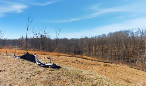 Photo #6 of 127 Courtney Springs Drive, Lynchburg, VA 0.2 acres