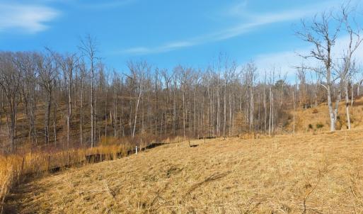 Photo #11 of 127 Courtney Springs Drive, Lynchburg, VA 0.2 acres