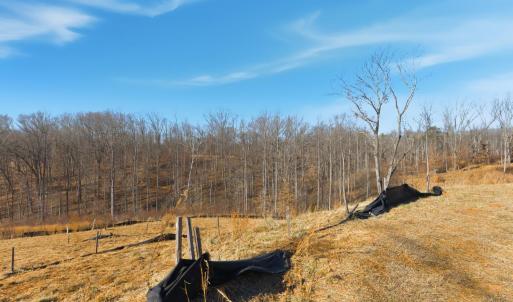 Photo #13 of 127 Courtney Springs Drive, Lynchburg, VA 0.2 acres