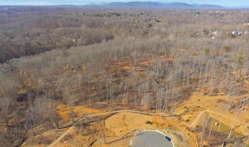 Photo #25 of 127 Courtney Springs Drive, Lynchburg, VA 0.2 acres