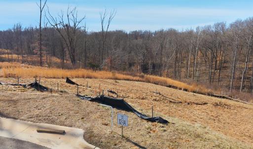 Photo #14 of 127 Courtney Springs Drive, Lynchburg, VA 0.2 acres