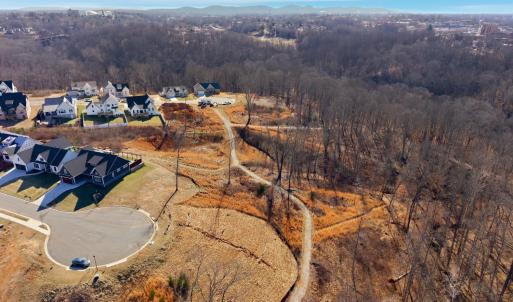 Photo #28 of 127 Courtney Springs Drive, Lynchburg, VA 0.2 acres