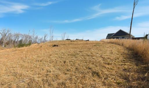 Photo #10 of 127 Courtney Springs Drive, Lynchburg, VA 0.2 acres