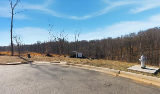 Photo #5 of 127 Courtney Springs Drive, Lynchburg, VA 0.2 acres