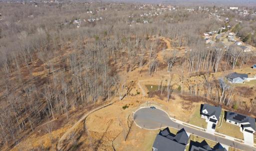 Photo #24 of 127 Courtney Springs Drive, Lynchburg, VA 0.2 acres