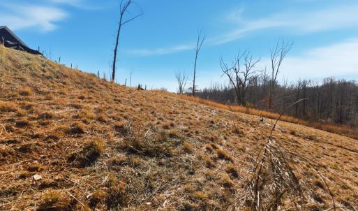 Photo #7 of 127 Courtney Springs Drive, Lynchburg, VA 0.2 acres