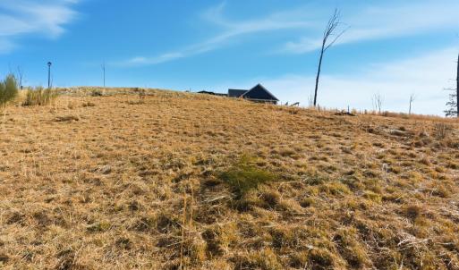 Photo #8 of 127 Courtney Springs Drive, Lynchburg, VA 0.2 acres