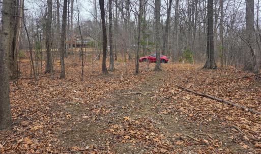 Photo #4 of Hickory Falls Road, Blue Ridge, VA 17.3 acres