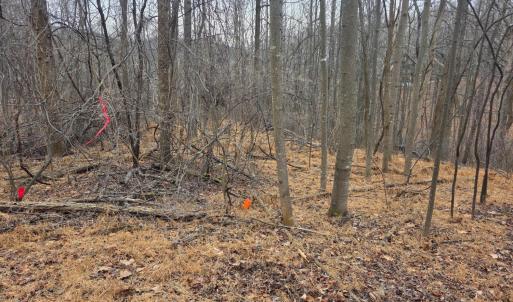 Photo #2 of Hickory Falls Road, Blue Ridge, VA 17.3 acres