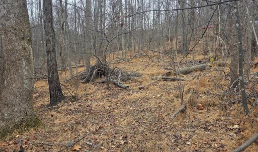 Photo #3 of Hickory Falls Road, Blue Ridge, VA 17.3 acres