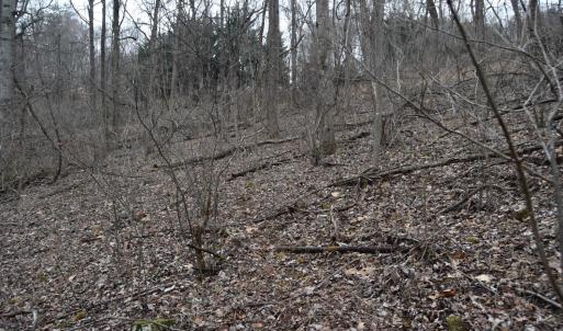 Photo #23 of Hickory Falls Road, Blue Ridge, VA 17.3 acres