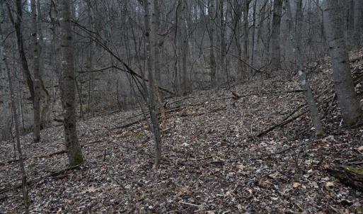 Photo #10 of Hickory Falls Road, Blue Ridge, VA 17.3 acres