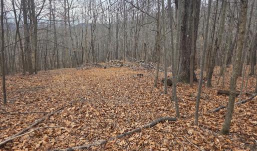 Photo #1 of Hickory Falls Road, Blue Ridge, VA 17.3 acres