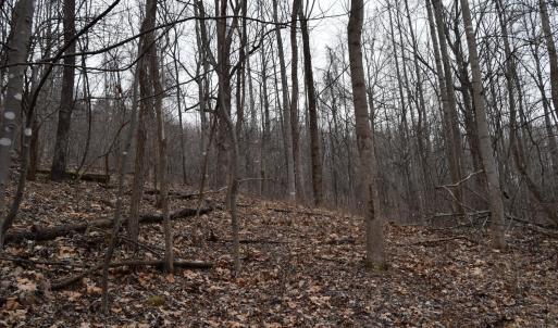 Photo #22 of Hickory Falls Road, Blue Ridge, VA 17.3 acres