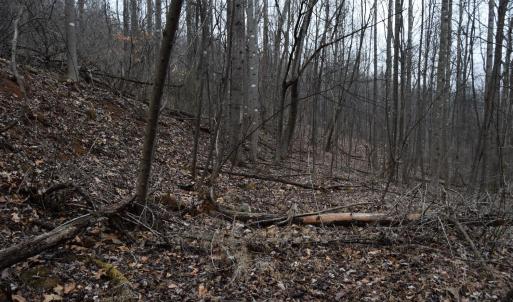 Photo #18 of Hickory Falls Road, Blue Ridge, VA 17.3 acres