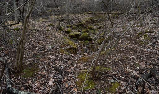 Photo #24 of Hickory Falls Road, Blue Ridge, VA 17.3 acres