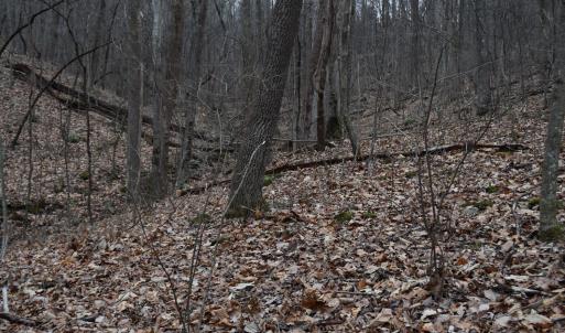 Photo #21 of Hickory Falls Road, Blue Ridge, VA 17.3 acres