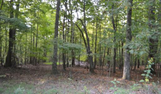 Photo #8 of Hickory Falls Road, Blue Ridge, VA 17.3 acres