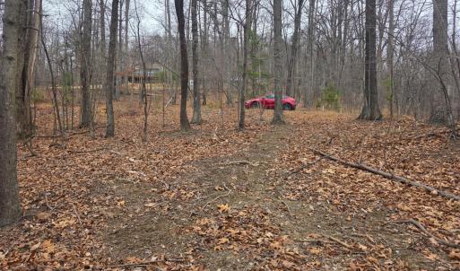 Photo #14 of Hickory Falls Road, Blue Ridge, VA 17.3 acres