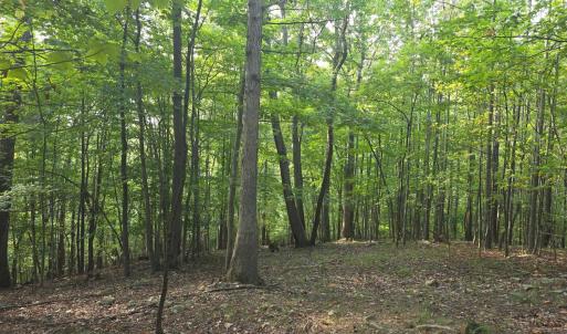 Photo #5 of Hickory Falls Road, Blue Ridge, VA 17.3 acres