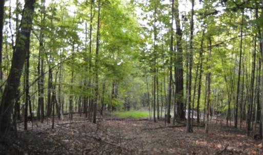 Photo #63 of Hickory Falls Road, Blue Ridge, VA 17.3 acres