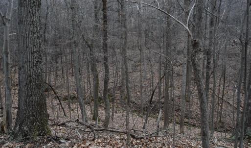 Photo #36 of Hickory Falls Road, Blue Ridge, VA 17.3 acres