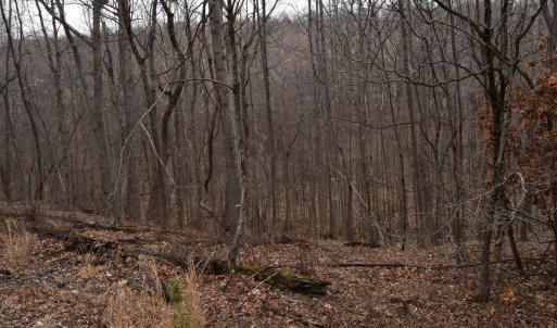 Photo #34 of Hickory Falls Road, Blue Ridge, VA 17.3 acres