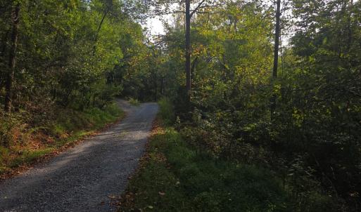 Photo #52 of Hickory Falls Road, Blue Ridge, VA 17.3 acres