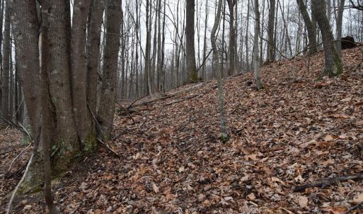 Photo #46 of Hickory Falls Road, Blue Ridge, VA 17.3 acres