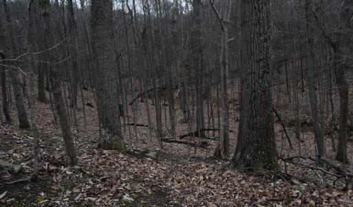 Photo #23 of Hickory Falls Road, Blue Ridge, VA 17.3 acres