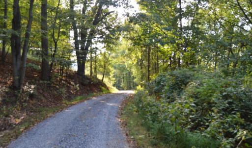 Photo #6 of Hickory Falls Road, Blue Ridge, VA 17.3 acres