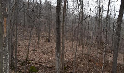 Photo #24 of Hickory Falls Road, Blue Ridge, VA 17.3 acres