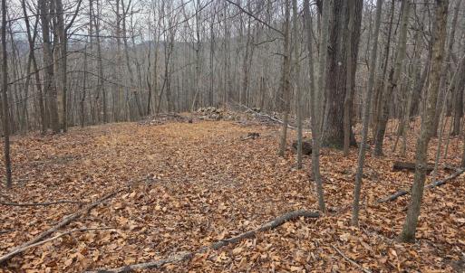 Photo #1 of Hickory Falls Road, Blue Ridge, VA 17.3 acres