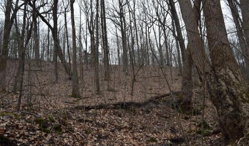 Photo #28 of Hickory Falls Road, Blue Ridge, VA 17.3 acres