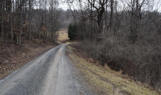 Photo #22 of Hickory Falls Road, Blue Ridge, VA 17.3 acres