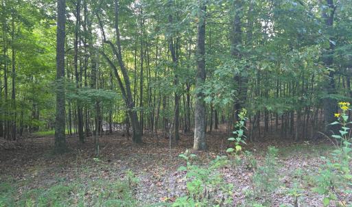 Photo #56 of Hickory Falls Road, Blue Ridge, VA 17.3 acres