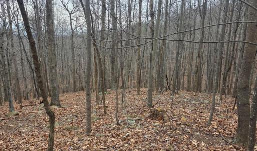 Photo #16 of Hickory Falls Road, Blue Ridge, VA 17.3 acres