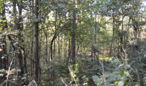 Photo #61 of Hickory Falls Road, Blue Ridge, VA 17.3 acres