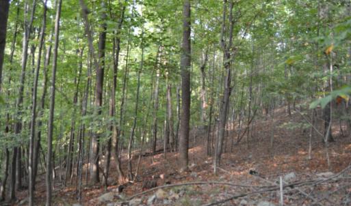 Photo #11 of Hickory Falls Road, Blue Ridge, VA 17.3 acres
