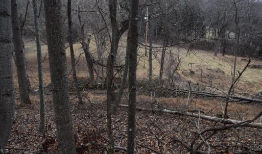 Photo #42 of Hickory Falls Road, Blue Ridge, VA 17.3 acres