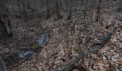 Photo #35 of Hickory Falls Road, Blue Ridge, VA 17.3 acres