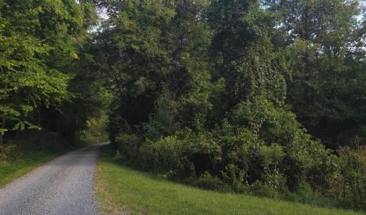 Photo #48 of Hickory Falls Road, Blue Ridge, VA 17.3 acres