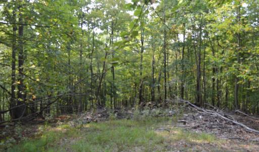 Photo #2 of Hickory Falls Road, Blue Ridge, VA 17.3 acres
