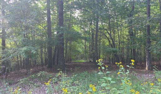 Photo #54 of Hickory Falls Road, Blue Ridge, VA 17.3 acres