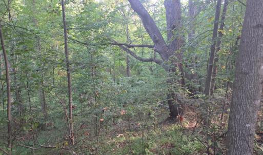 Photo #49 of Hickory Falls Road, Blue Ridge, VA 17.3 acres