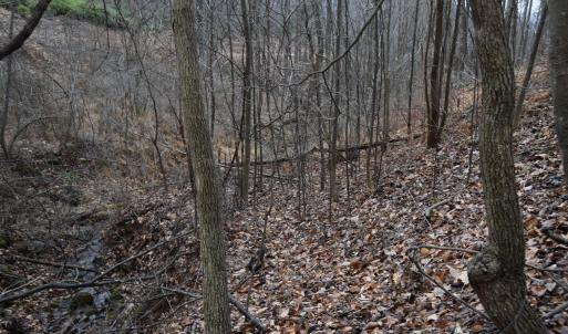 Photo #45 of Hickory Falls Road, Blue Ridge, VA 17.3 acres
